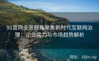 91官网全景视角聚焦新时代互联网治理：企业实力与市场趋势解析