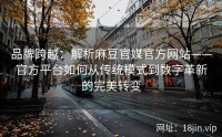 品牌跨越：解析麻豆官媒官方网站——官方平台如何从传统模式到数字革新的完美转变