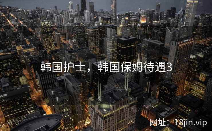 韩国护士，韩国保姆待遇3