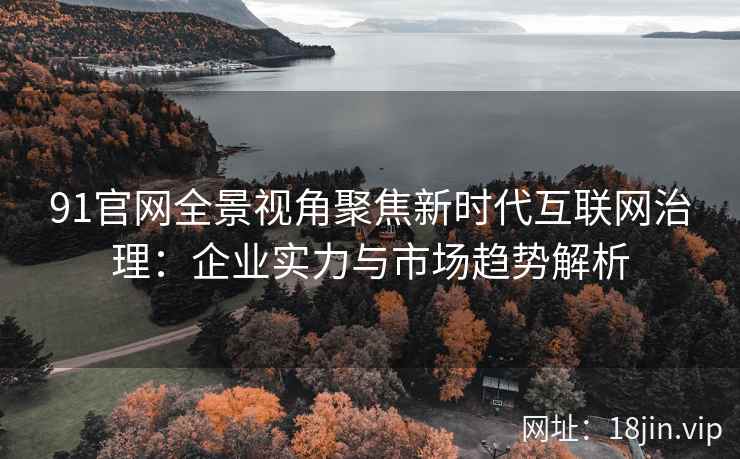 91官网全景视角聚焦新时代互联网治理：企业实力与市场趋势解析