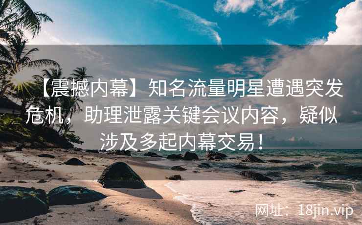【震撼内幕】知名流量明星遭遇突发危机，助理泄露关键会议内容，疑似涉及多起内幕交易！