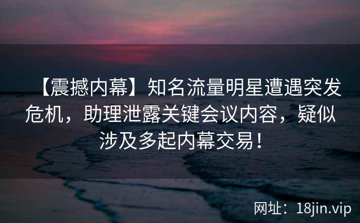 【震撼内幕】知名流量明星遭遇突发危机，助理泄露关键会议内容，疑似涉及多起内幕交易！
