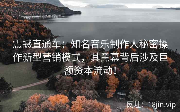 震撼直通车：知名音乐制作人秘密操作新型营销模式，其黑幕背后涉及巨额资本流动！